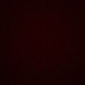 Meet your Posher, Minnie